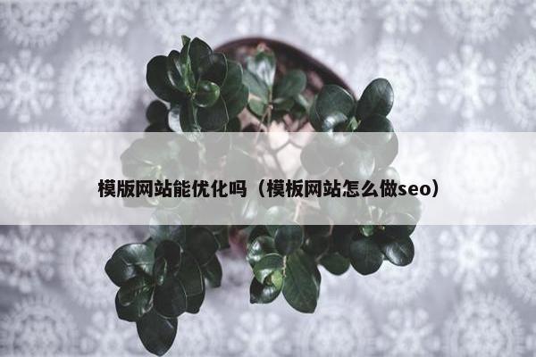 模版网站能优化吗（模板网站怎么做seo）