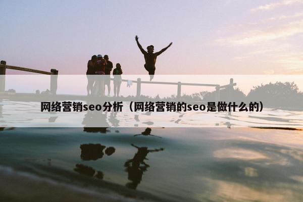 网络营销seo分析（网络营销的seo是做什么的）