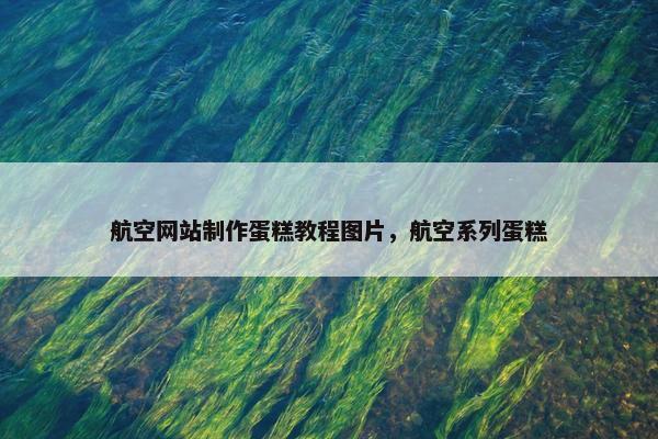 航空网站制作蛋糕教程图片，航空系列蛋糕