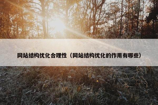 网站结构优化合理性（网站结构优化的作用有哪些）
