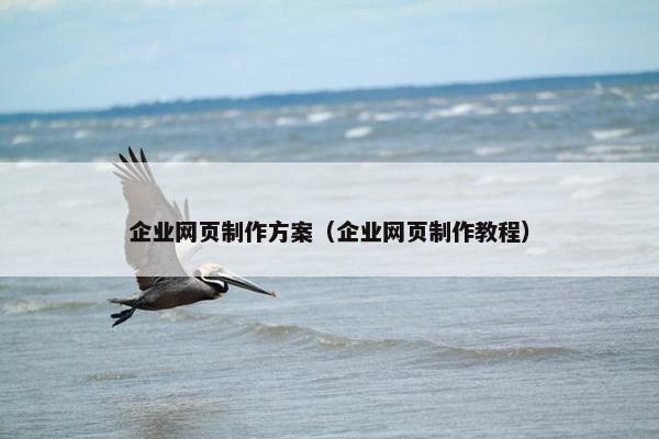 企业网页制作方案（企业网页制作教程）
