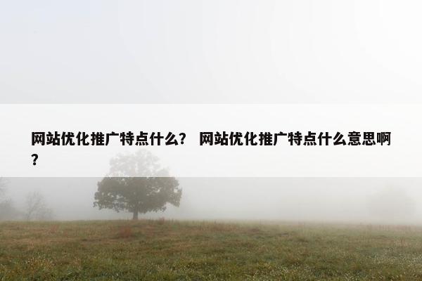 网站优化推广特点什么？ 网站优化推广特点什么意思啊？