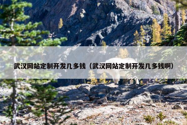 武汉网站定制开发几多钱（武汉网站定制开发几多钱啊）