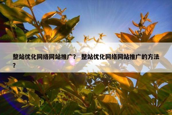 整站优化网络网站推广？ 整站优化网络网站推广的方法？