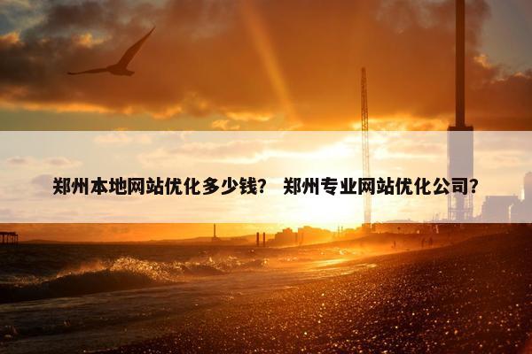 郑州本地网站优化多少钱？ 郑州专业网站优化公司？