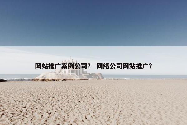 网站推广案例公司？ 网络公司网站推广？