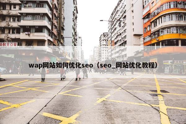 wap网站如何优化seo（seo_网站优化教程）