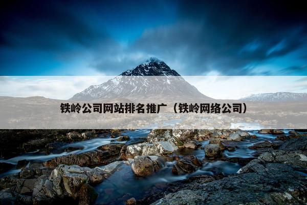 铁岭公司网站排名推广（铁岭网络公司）