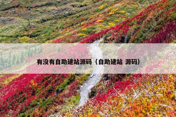 有没有自助建站源码（自助建站 源码）