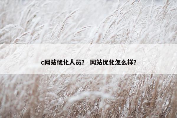 c网站优化人员？ 网站优化怎么样？