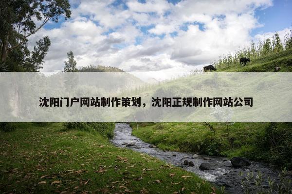 沈阳门户网站制作策划，沈阳正规制作网站公司