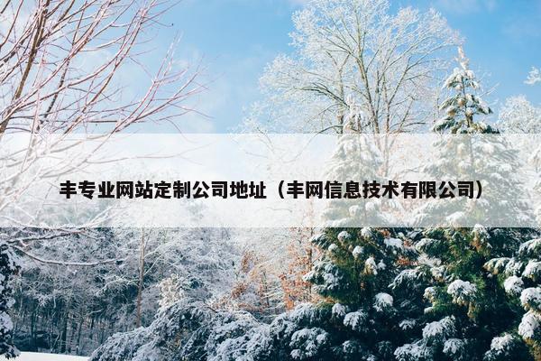 丰专业网站定制公司地址（丰网信息技术有限公司）