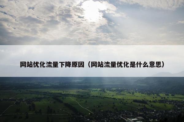 网站优化流量下降原因（网站流量优化是什么意思）