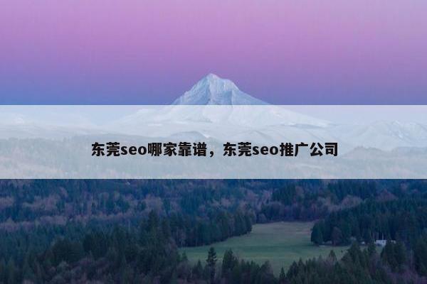 东莞seo哪家靠谱，东莞seo推广公司