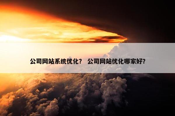 公司网站系统优化？ 公司网站优化哪家好？