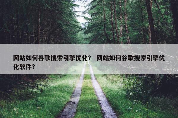 网站如何谷歌搜索引擎优化？ 网站如何谷歌搜索引擎优化软件？