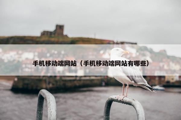 手机移动端网站（手机移动端网站有哪些）