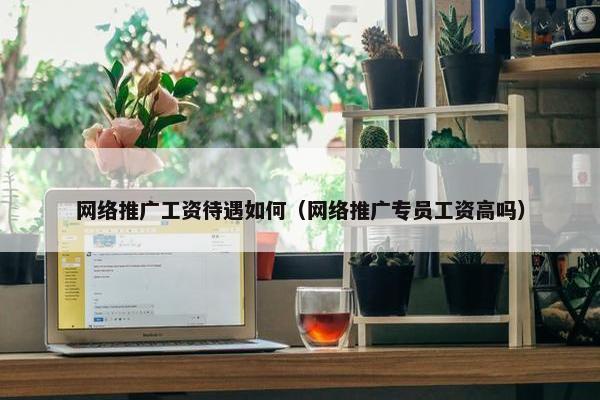 网络推广工资待遇如何（网络推广专员工资高吗）