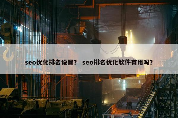 seo优化排名设置？ seo排名优化软件有用吗？