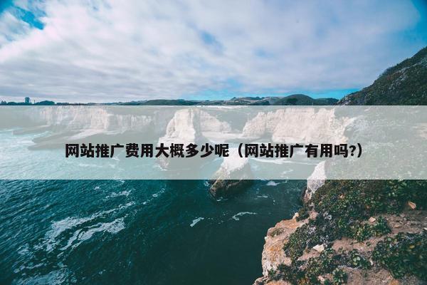 网站推广费用大概多少呢（网站推广有用吗?）