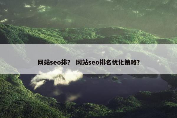 网站seo排？ 网站seo排名优化策略？