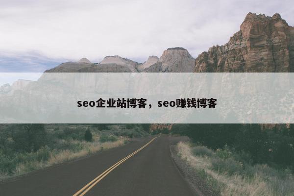 seo企业站博客，seo赚钱博客