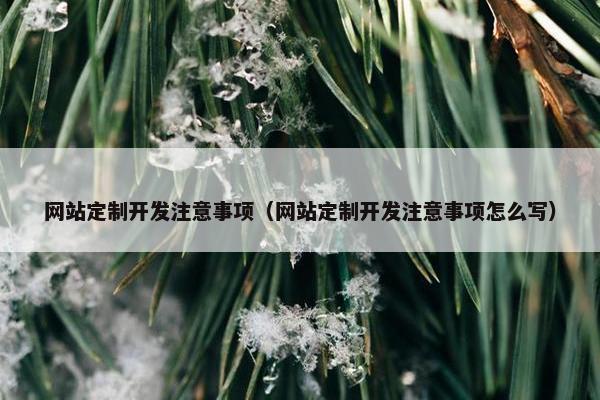 网站定制开发注意事项（网站定制开发注意事项怎么写）