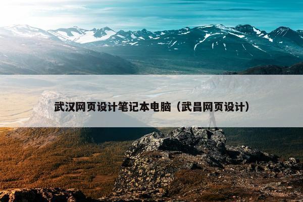武汉网页设计笔记本电脑（武昌网页设计）