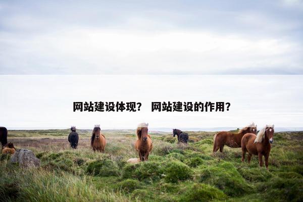 网站建设体现？ 网站建设的作用？
