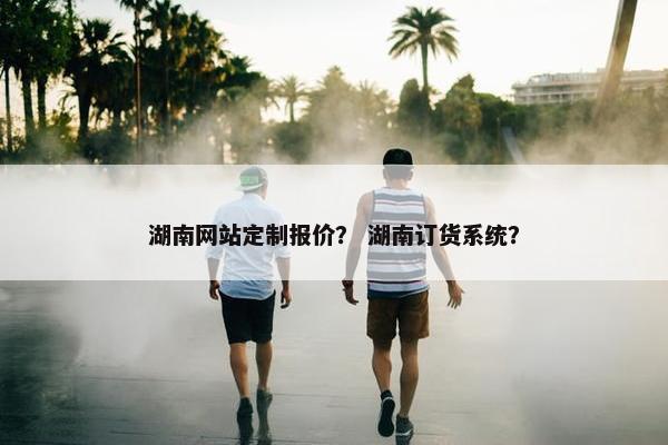 湖南网站定制报价？ 湖南订货系统？