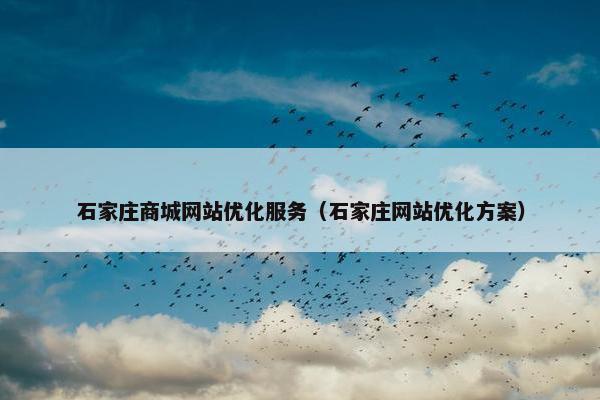 石家庄商城网站优化服务（石家庄网站优化方案）