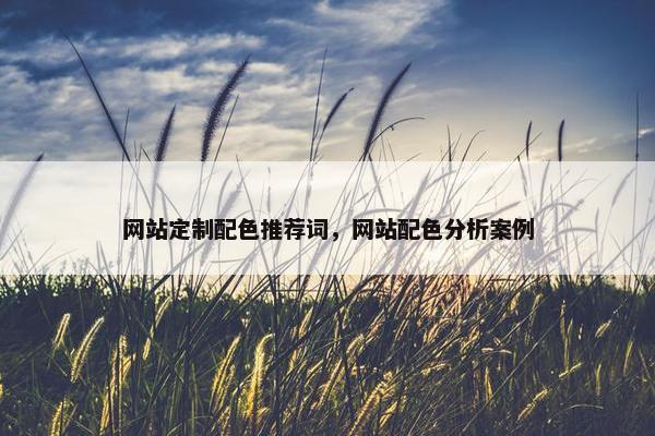 网站定制配色推荐词，网站配色分析案例