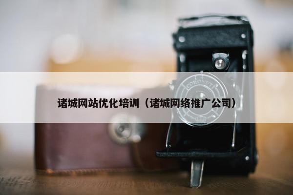 诸城网站优化培训（诸城网络推广公司）
