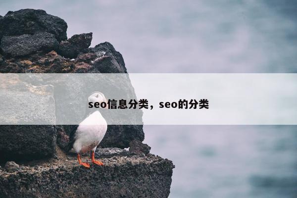 seo信息分类，seo的分类