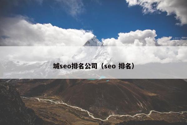 城seo排名公司（seo 排名）