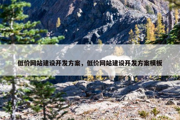 低价网站建设开发方案，低价网站建设开发方案模板