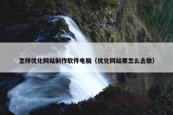 怎样优化网站制作软件电脑（优化网站要怎么去做）