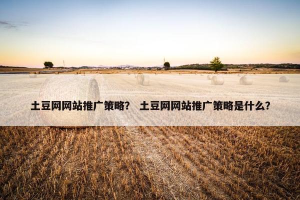 土豆网网站推广策略？ 土豆网网站推广策略是什么？