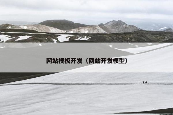 网站模板开发（网站开发模型）