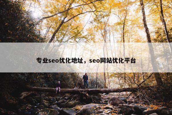 专业seo优化地址，seo网站优化平台