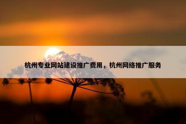 杭州专业网站建设推广费用，杭州网络推广服务