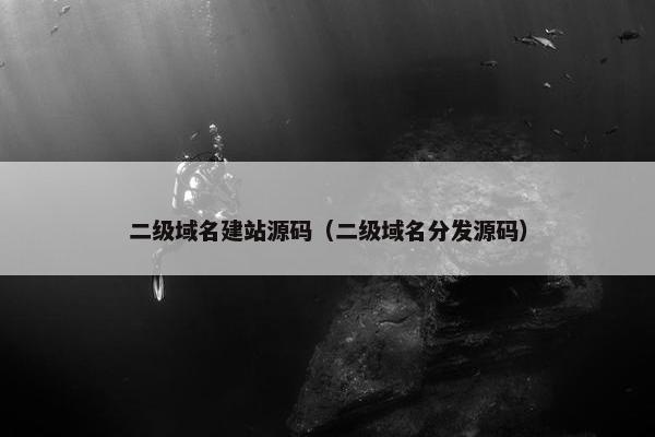 二级域名建站源码（二级域名分发源码）