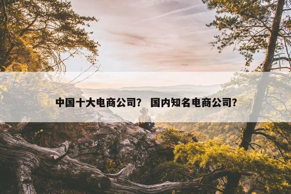 中国十大电商公司？ 国内知名电商公司？
