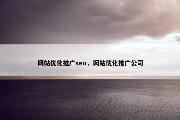 网站优化推广seo，网站优化推广公司