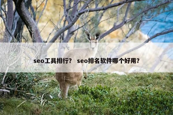 seo工具排行？ seo排名软件哪个好用？