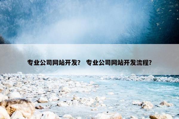 专业公司网站开发？ 专业公司网站开发流程？