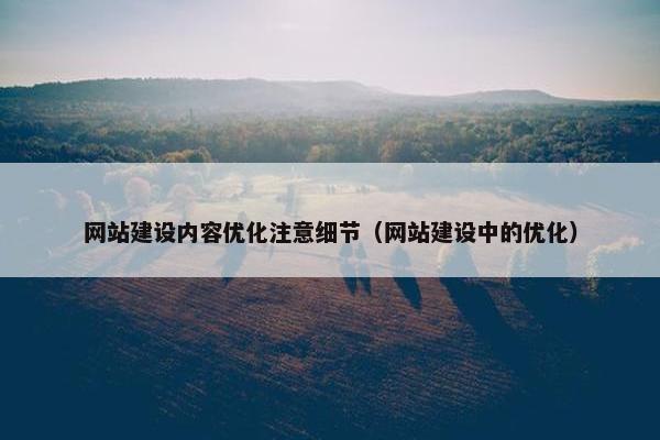 网站建设内容优化注意细节（网站建设中的优化）