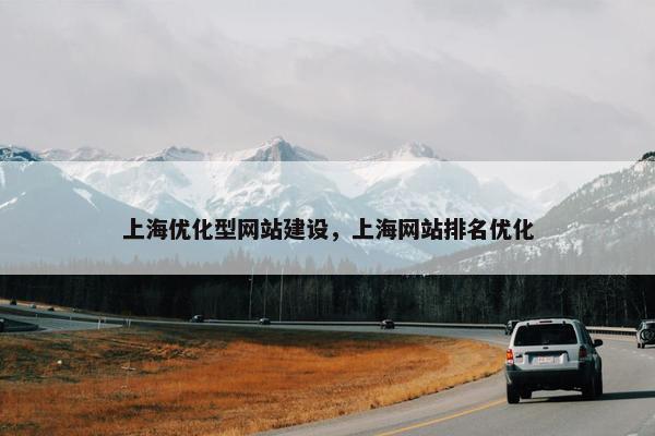 上海优化型网站建设，上海网站排名优化