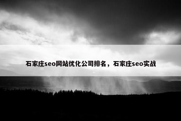 石家庄seo网站优化公司排名，石家庄seo实战