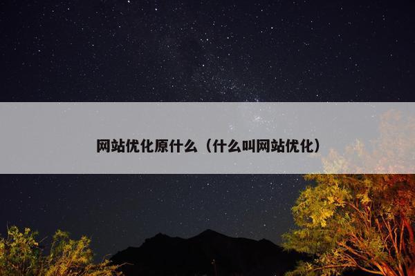 网站优化原什么（什么叫网站优化）